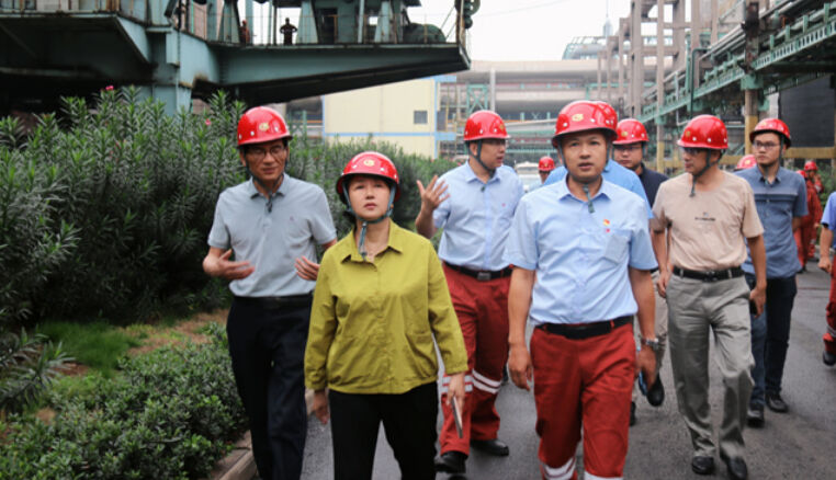 省第三生態環境保護督察組下沉漣鋼督察